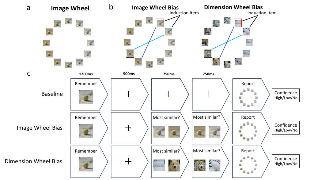 Figure 1 from the paper: image and dimension wheels, followed by the baseline and two perceptual comparison conditions.